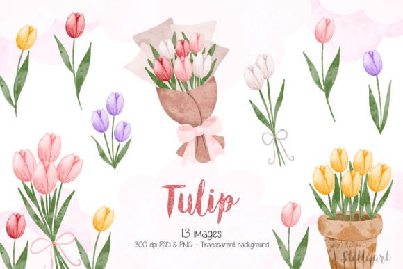 Download Watercolor Illustration Set of Tulip - Set Collection