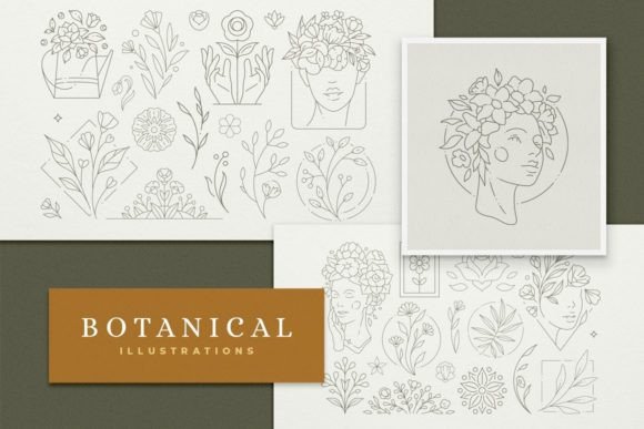 Download Line Art Botanical Illustrations Set - Set Collection