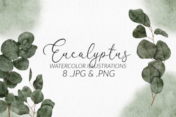 Download Eucalyptus Watercolor Illustration Set - Set Collection