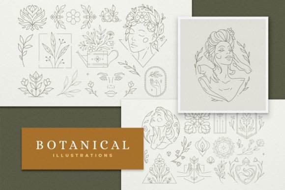 Download Line Art Botanical Illustrations Set - Set Collection