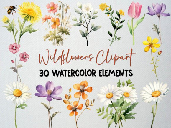 Download Watercolor Wildflower Clipart Set 2 - Set Collection