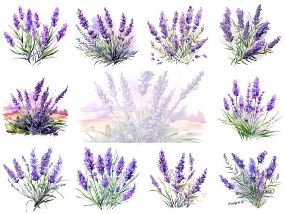 Download Lavender Watercolor Flowers Clipart Set - Set Collection