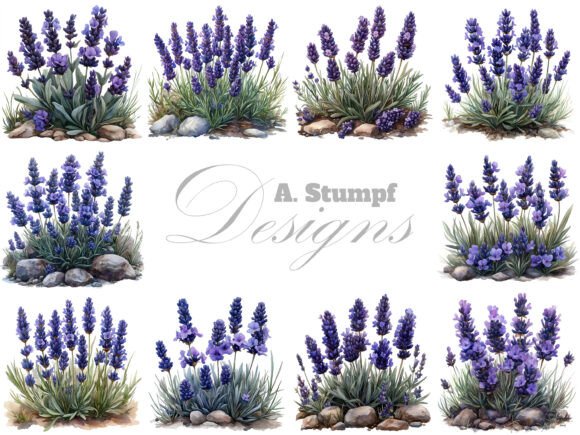 Download Lavender Flowers Clipart Set Floral Art - Set Collection