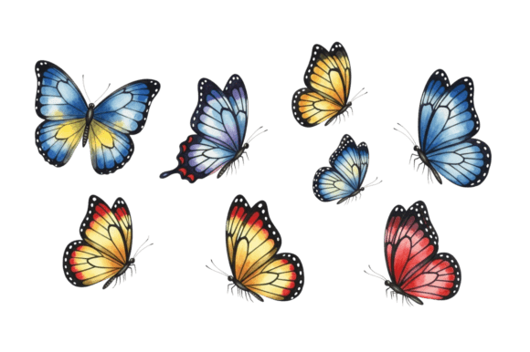 Download Set of Colorful Watercolor Butterflies - Set Collection