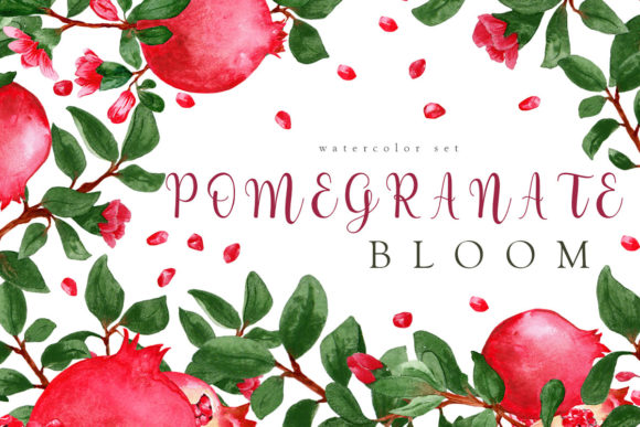 Download "Pomegranate Bloom" Watercolor Set - Set Collection