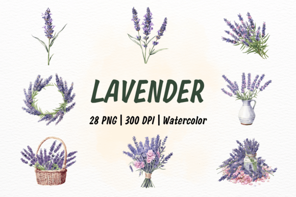 Download Set of 28 Lavender Watercolor Clipart - Set Collection