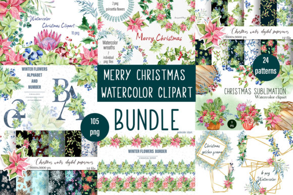 Download Christmas Set, Botanical Illustrations, - Set Collection