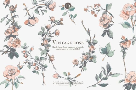 Download Vintage Rose Floral Clipart Set - Set Collection