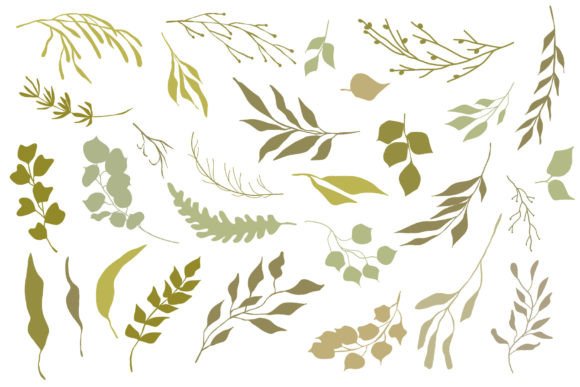 Download Botanical Illustrations Set - Set Collection