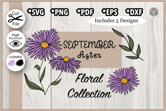 Download September Aster Flower Illustration Set - Set Collection