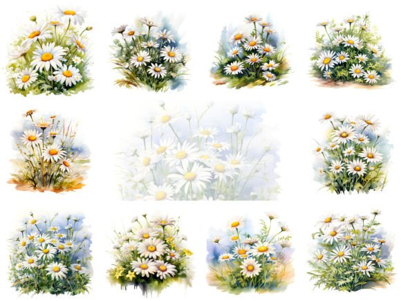 Download Daisies Watercolor Clipart Images Set - Set Collection