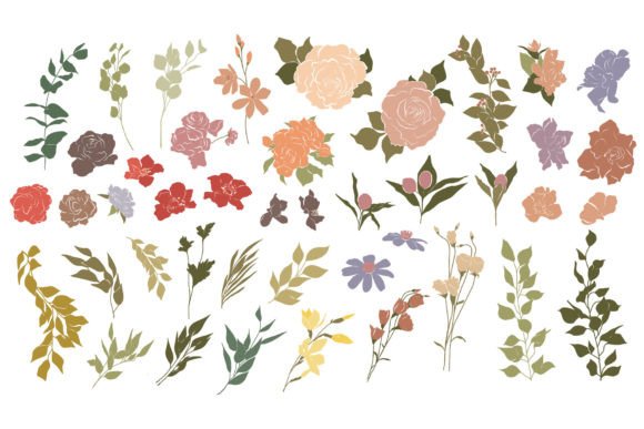 Download Botanical Illustrations Set - Set Collection