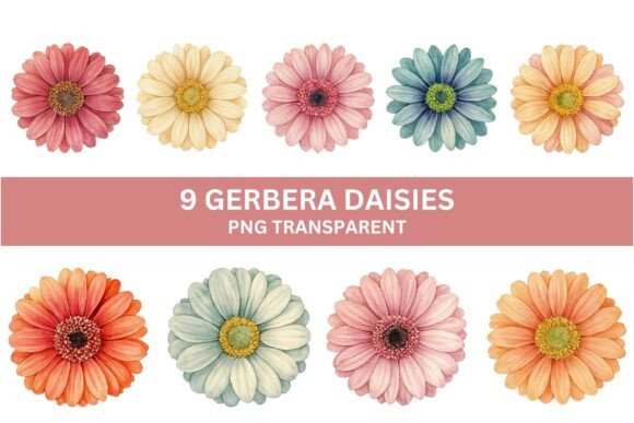 Download 9 Pastel Gerbera Daisy PNG Clipart Set - Set Collection